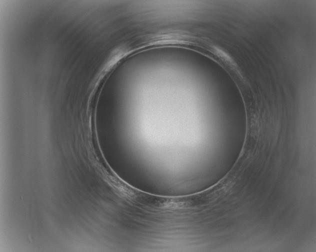 X0000060561419200511070935