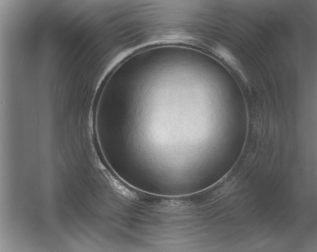 X0000060561420200511070935