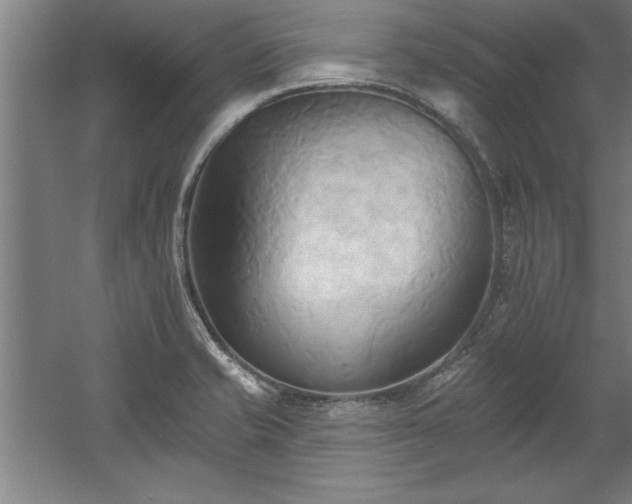 X0000060561421200511070935