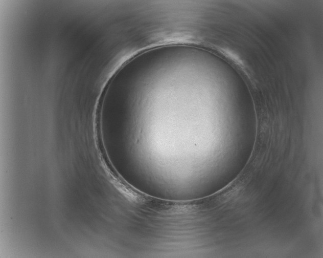 X0000060561423200511070935