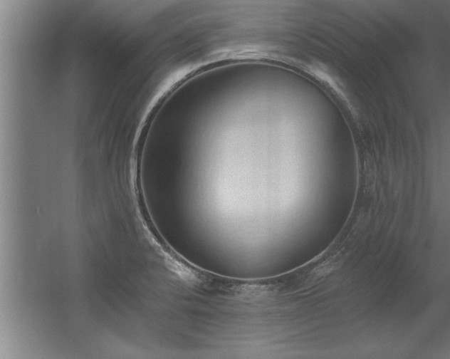 X0000060561424200511070935