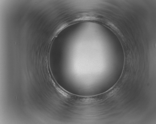 X0000060561425200511070935