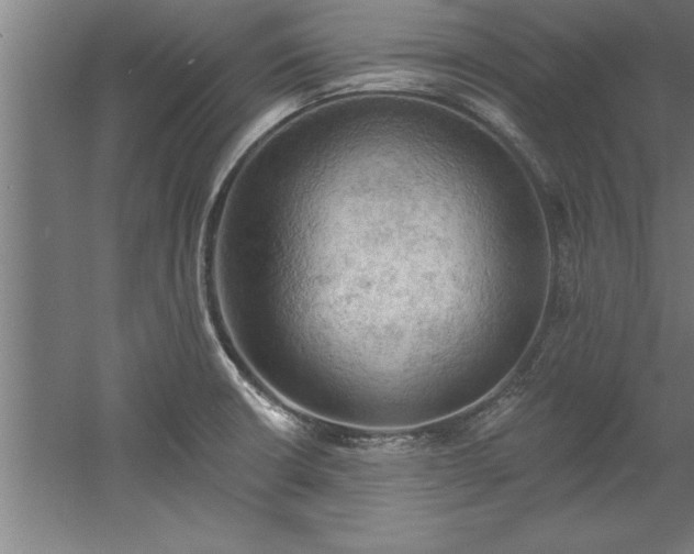 X0000060561426200511070935