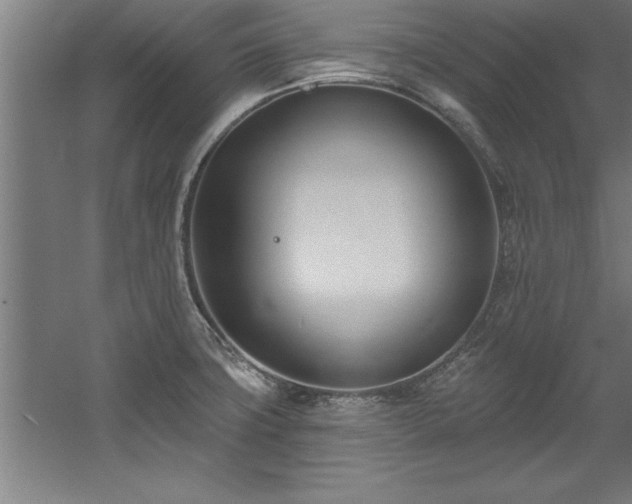 X0000060561427200511070935