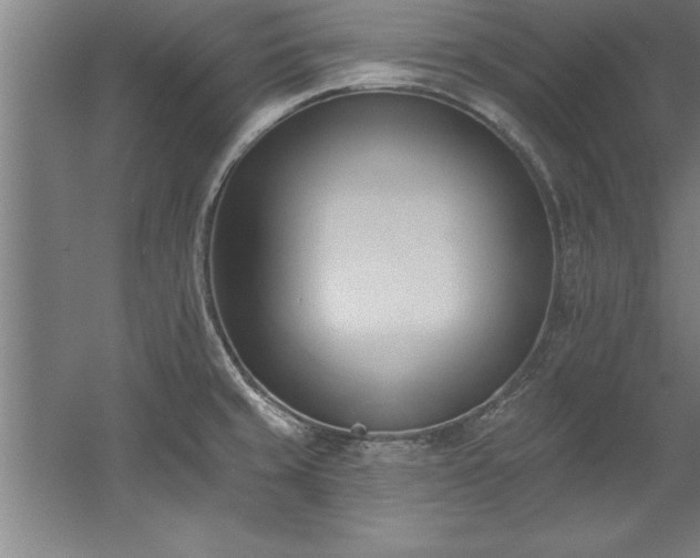 X0000060561429200511070935