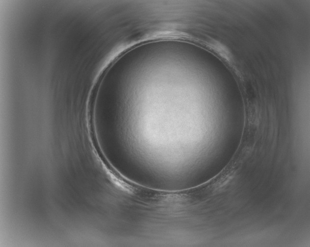 X0000060561430200511070935