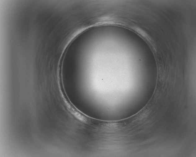 X0000060561431200511070935