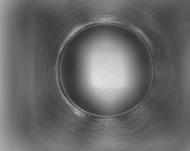 X0000060561432200511070935