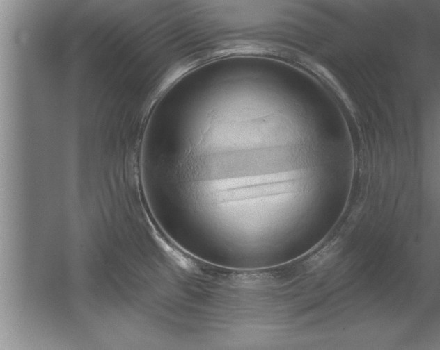 X0000060561433200511070935