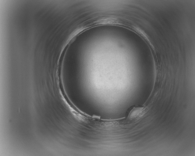 X0000060561434200511070935