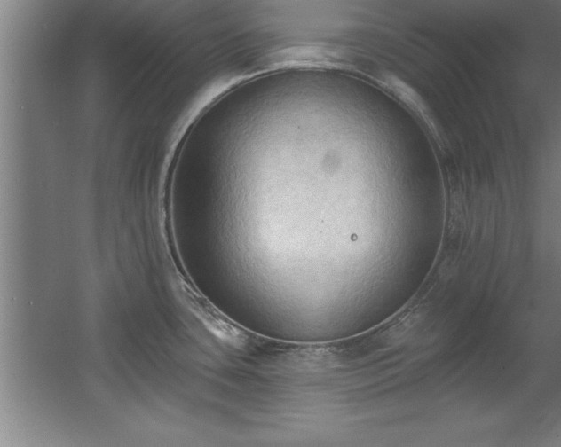 X0000060561435200511070936