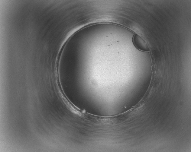 X0000060561436200511070936