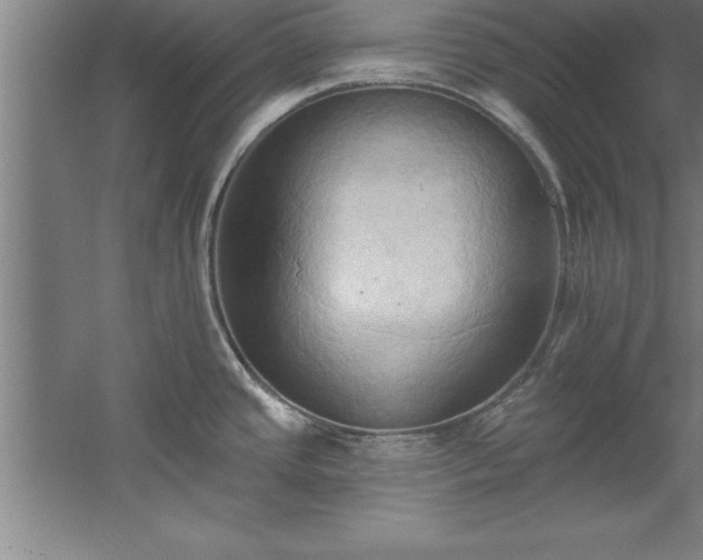 X0000060561437200511070936