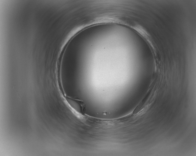 X0000060561438200511070936