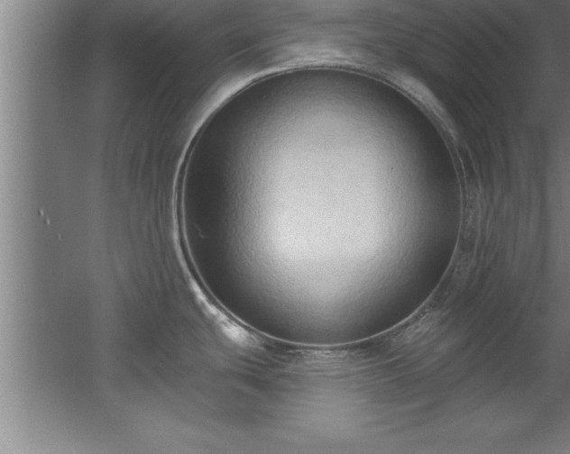 X0000060561439200511070936