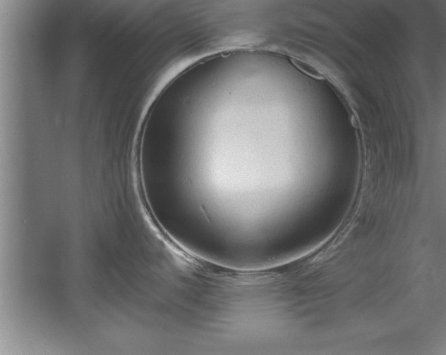 X0000060561440200511070936