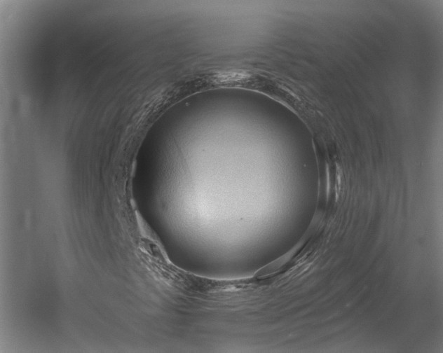 X0000060561441200511070935