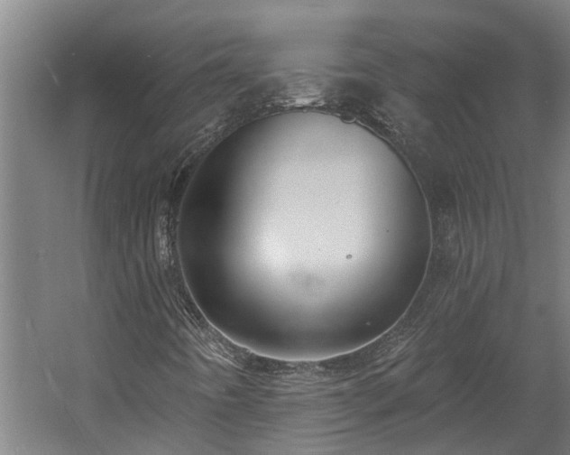 X0000060561442200511070935