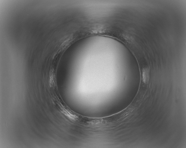 X0000060561444200511070935