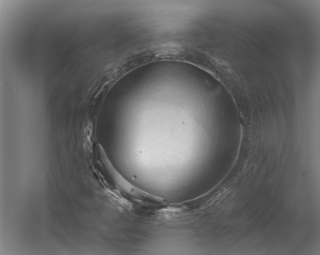 X0000060561445200511070935