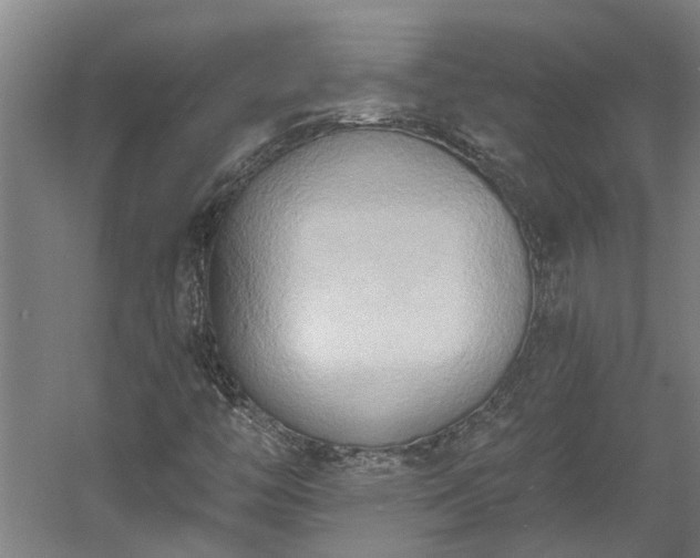 X0000060561446200511070935