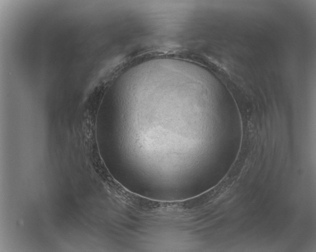 X0000060561447200511070935