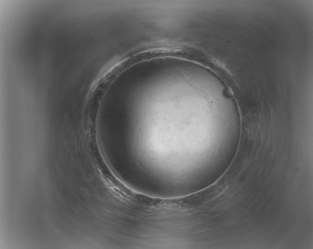 X0000060561448200511070935