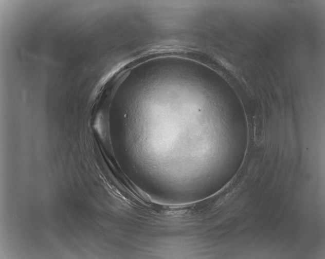 X0000060561453200511070935