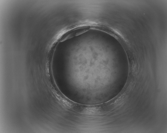 X0000060561455200511070935