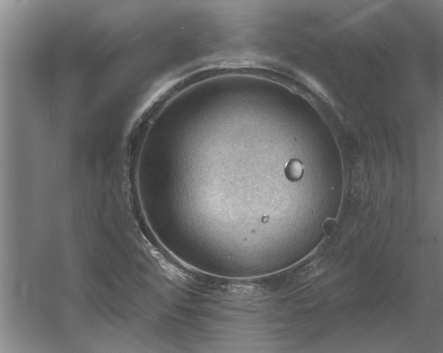 X0000060561456200511070935