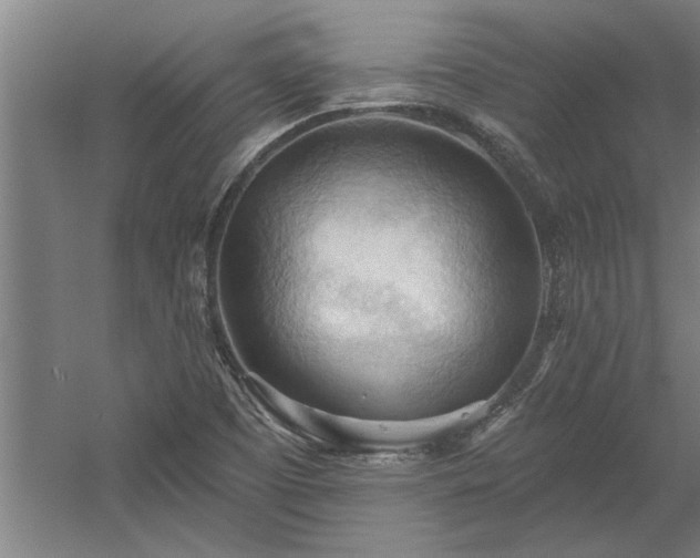 X0000060561457200511070935