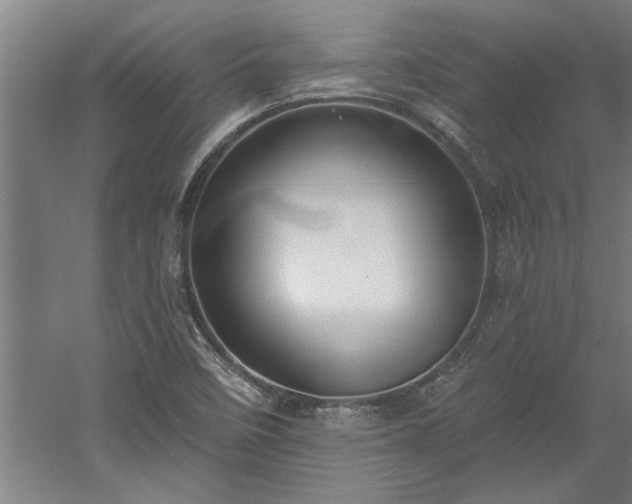 X0000060561458200511070934