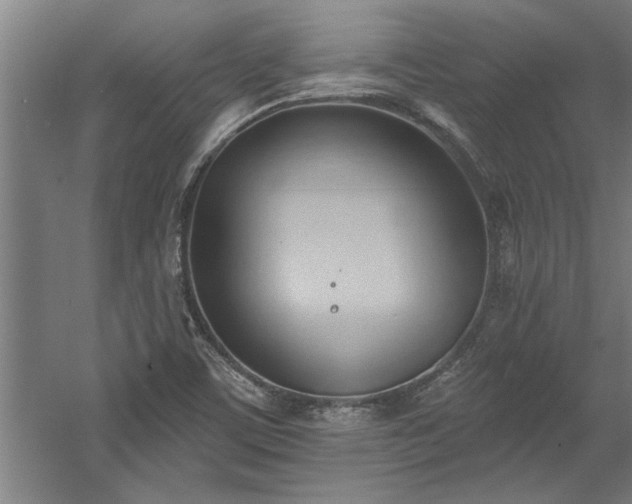 X0000060561459200511070934