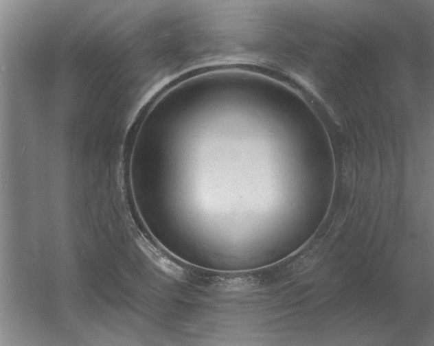 X0000060561460200511070934