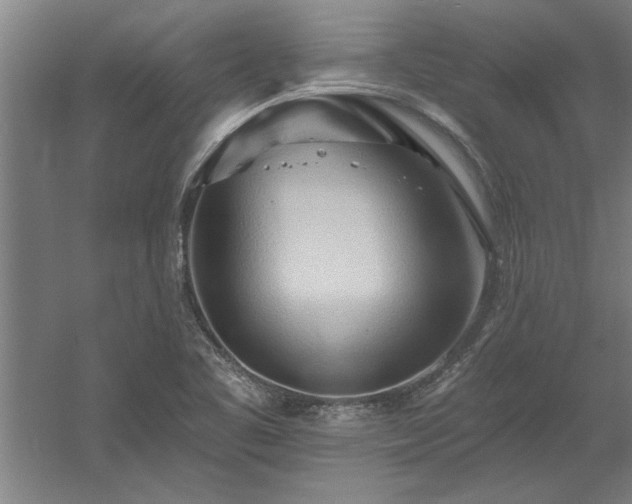 X0000060561461200511070934