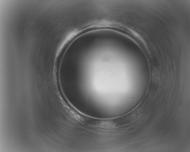 X0000060561464200511070934