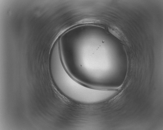 X0000060561465200511070934