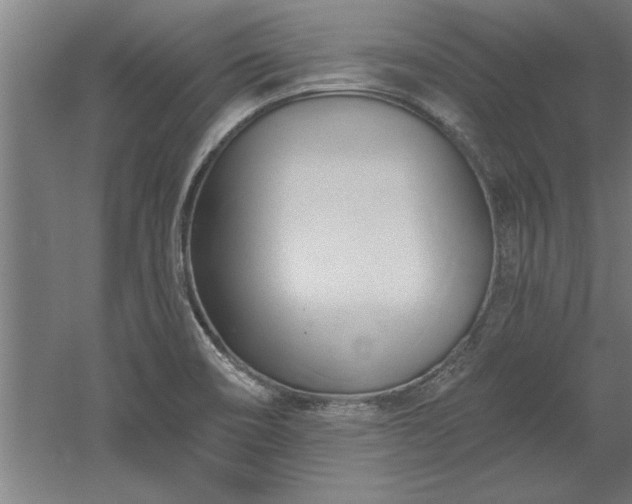 X0000060561466200511070934