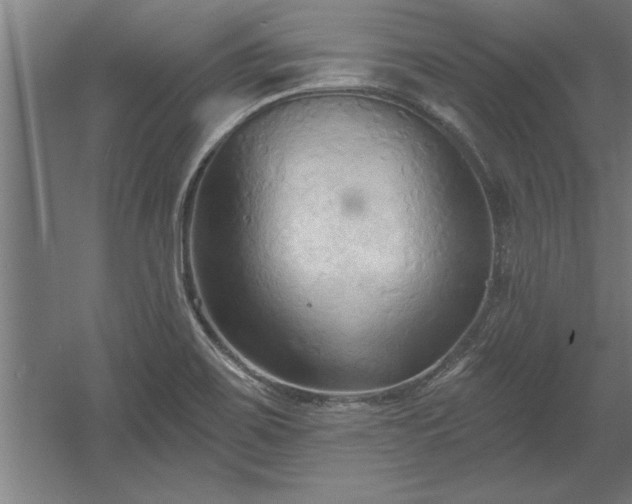 X0000060561467200511070934