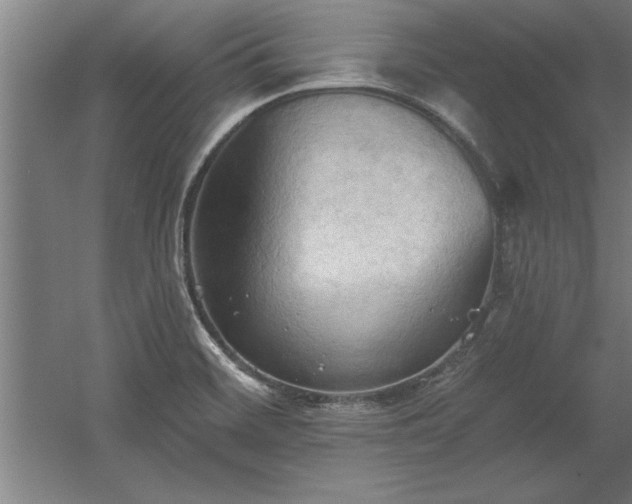 X0000060561468200511070934