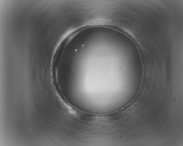 X0000060561469200511070934