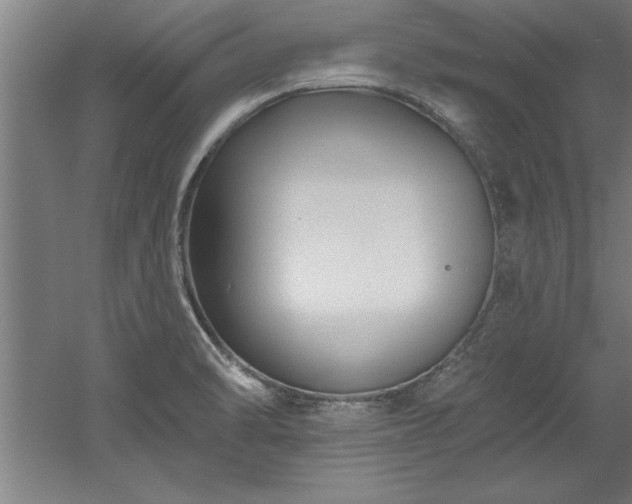 X0000060561470200511070934