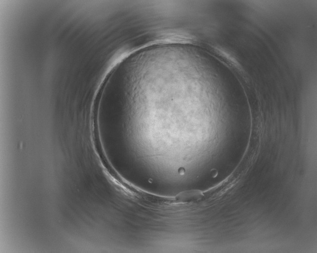 X0000060561471200511070934