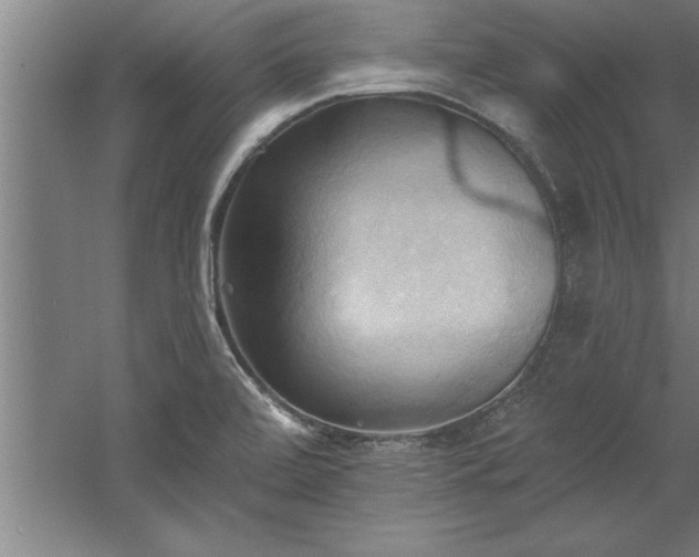 X0000060561472200511070934