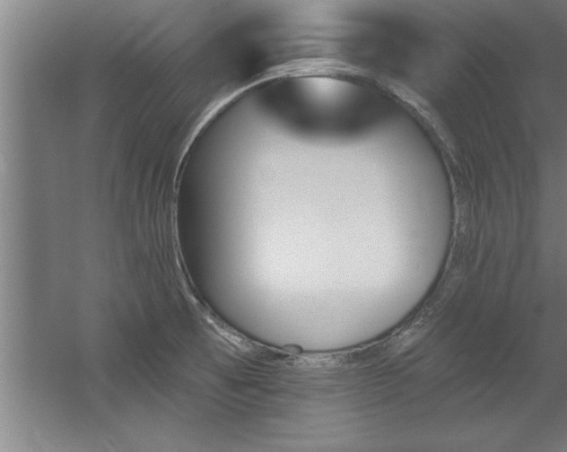 X0000060561473200511070934