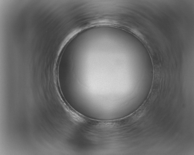 X0000060561474200511070934