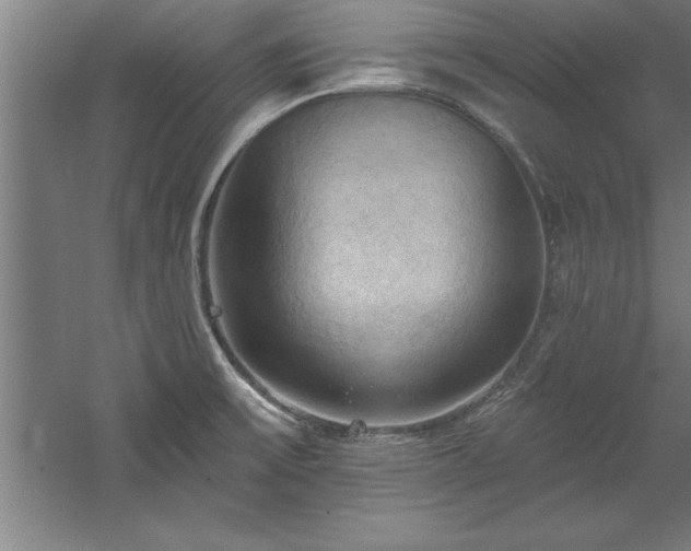 X0000060561475200511070934