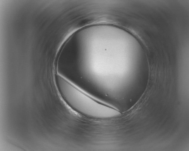 X0000060561476200511070934