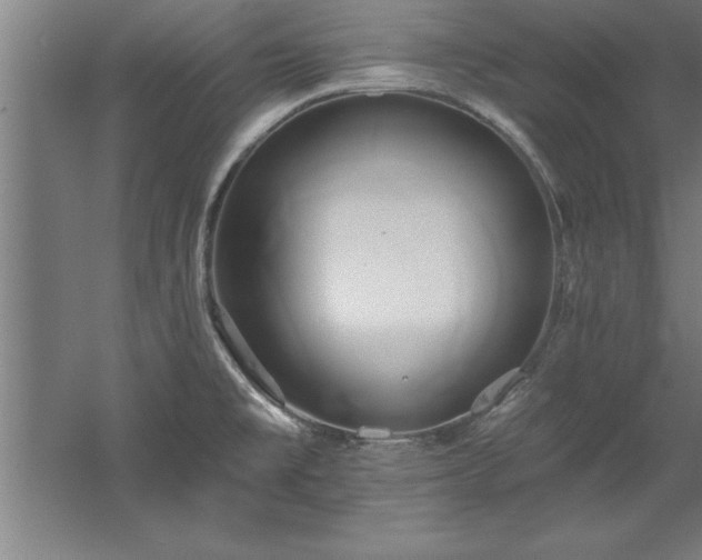 X0000060561477200511070934