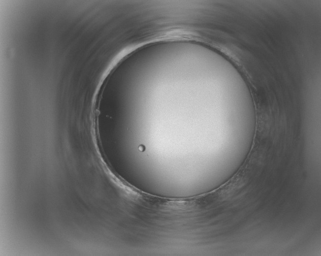 X0000060561478200511070934